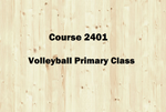 LearnDuck Course 2401: Volleyball Primary Class
