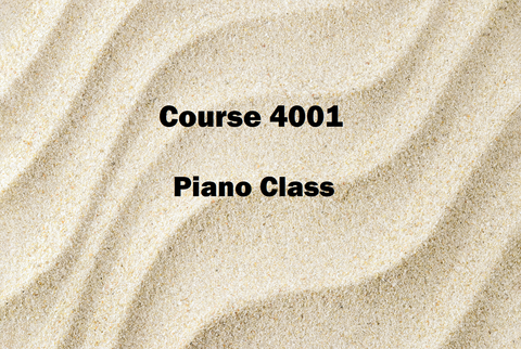 LearnDuck Course 4001: Piano Class